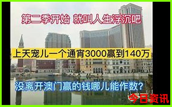 老人游张家界最轻松的线路